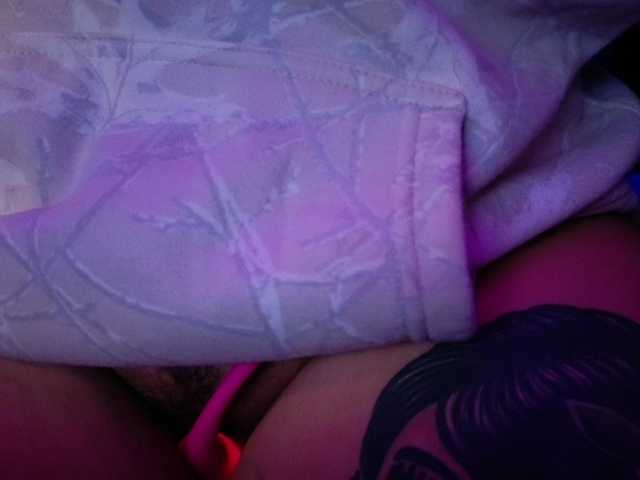 Miacanelaxo
