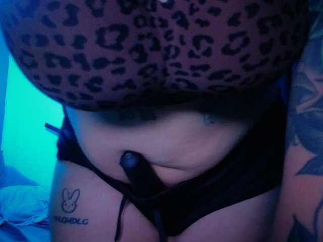 Miacanelaxo live cam on BongaCams
