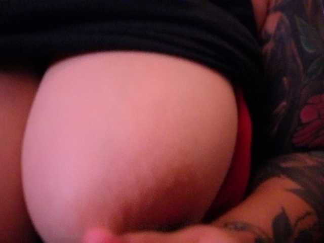 Miacanelaxo