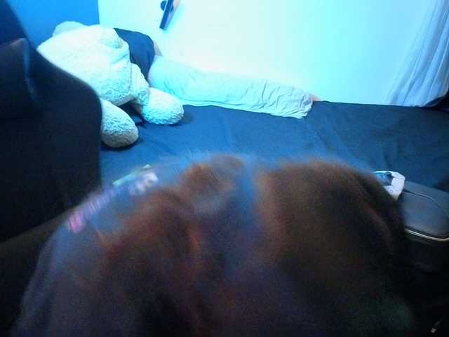 Miacanelaxo