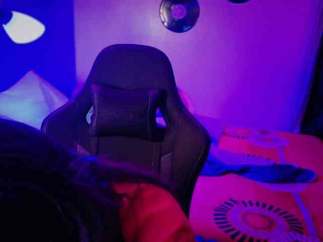Miacanelaxo
