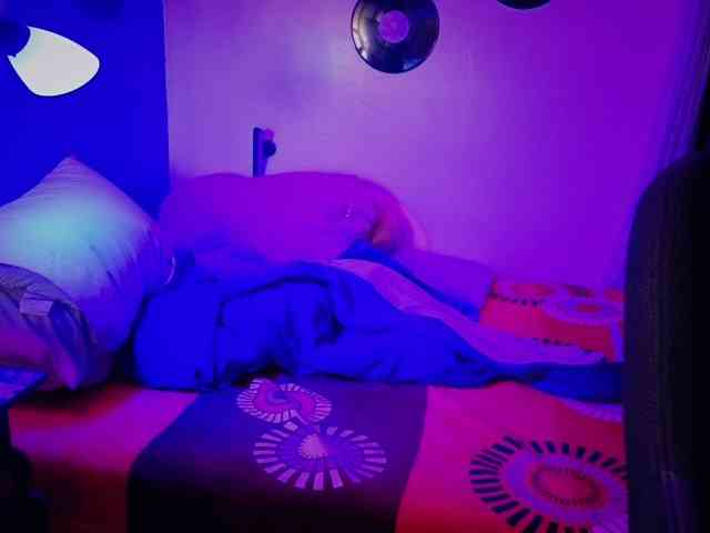 Miacanelaxo
