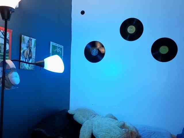 Miacanelaxo webcam