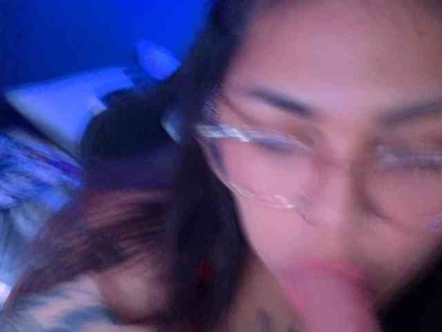 Miacanelaxo Miacanelaxo