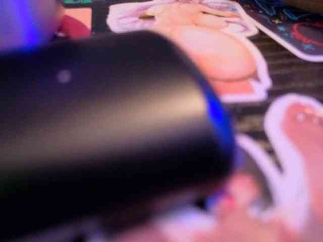 Miacanelaxo webcam