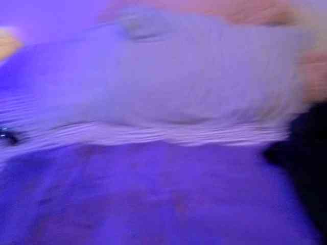 Miacanelaxo webcam