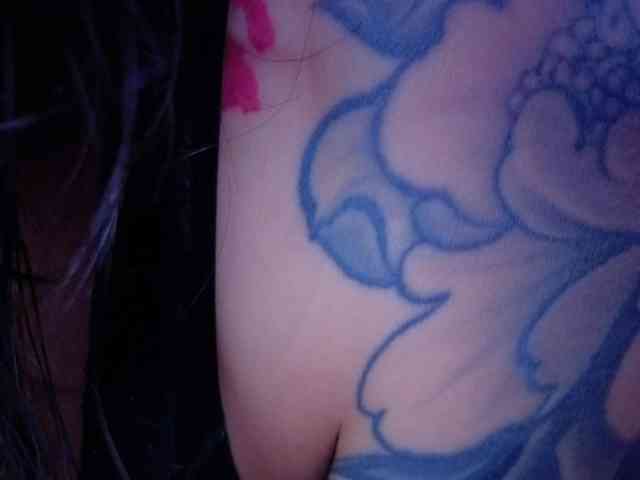 Miacanelaxo