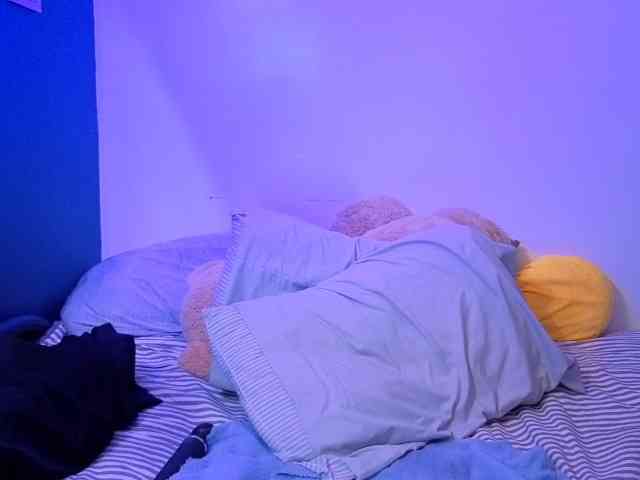 Miacanelaxo Miacanelaxo