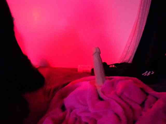 Miacanelaxo Miacanelaxo
