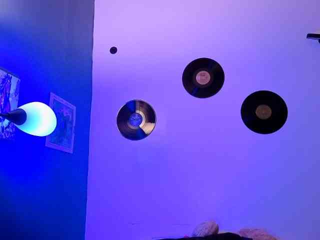Miacanelaxo webcam