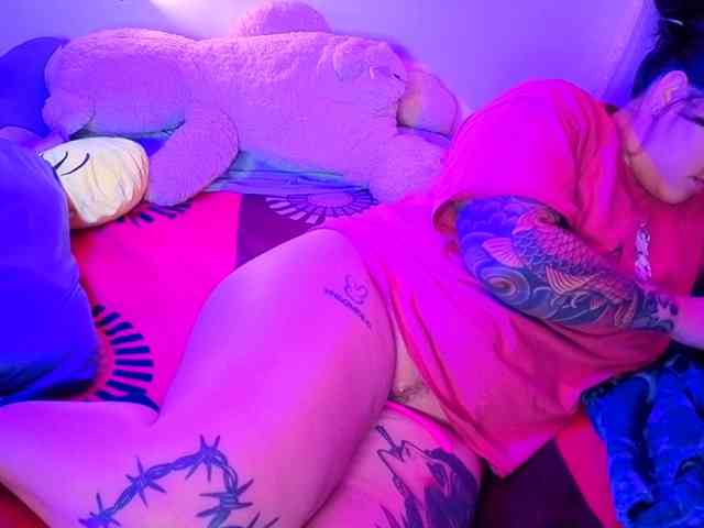 Miacanelaxo webcam