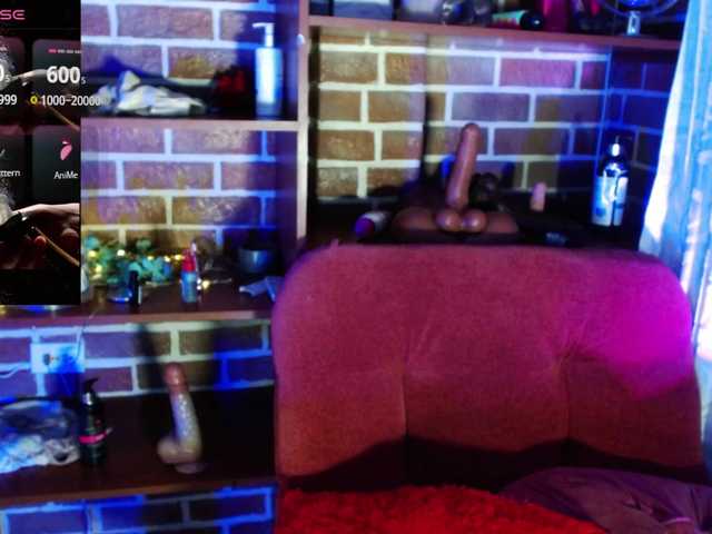 GatuSexx live cam on BongaCams