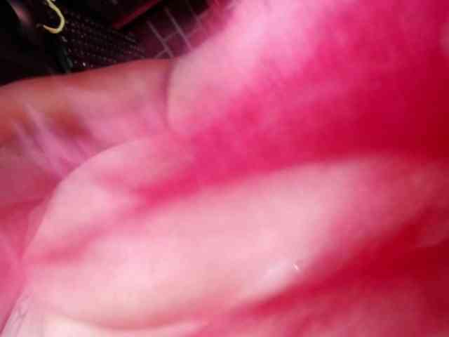 GatuSexx webcam