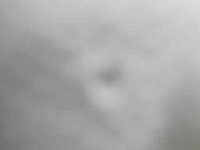 heidysumers Live Webcam on BongaCams