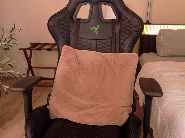 Amex369 Live Cam on BongaCams