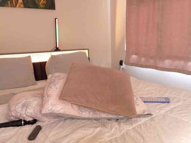 LunaVice webcam