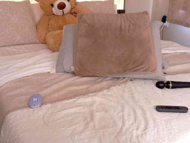 LunaVice webcam