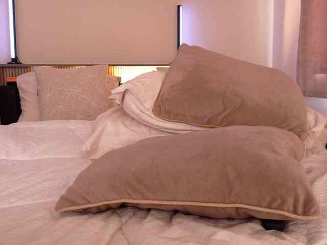 LunaVice webcam