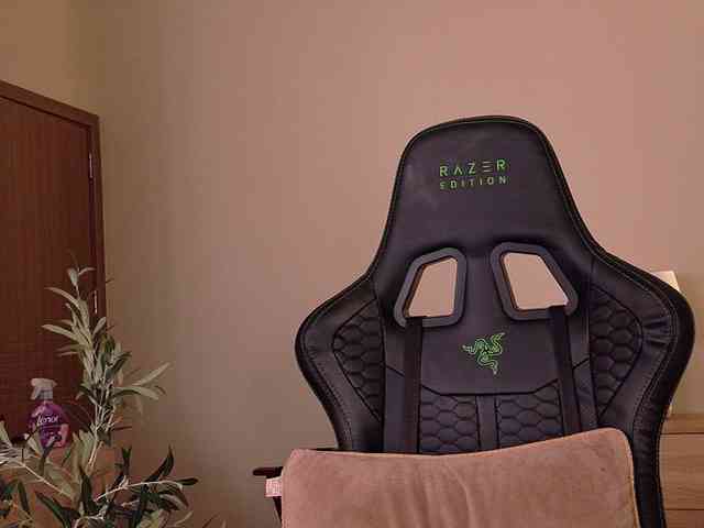 LunaVice webcam