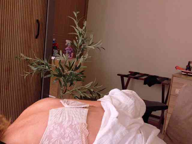 LunaVice webcam