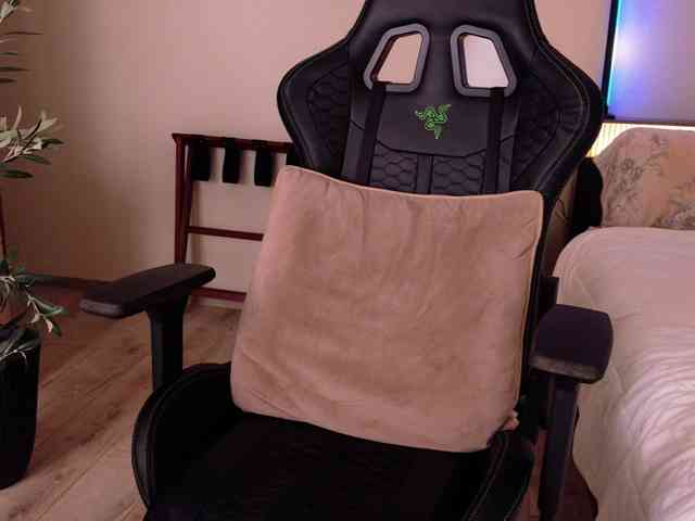 Amex369 Live Webcam on BongaCams