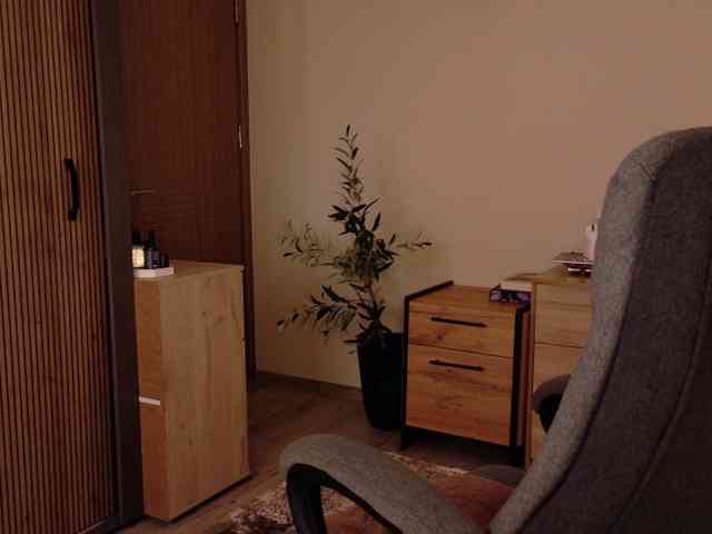LunaVice webcam