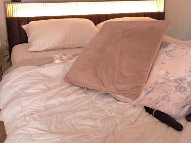 LunaVice webcam