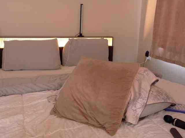 LunaVice webcam