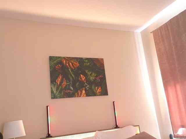LunaVice webcam