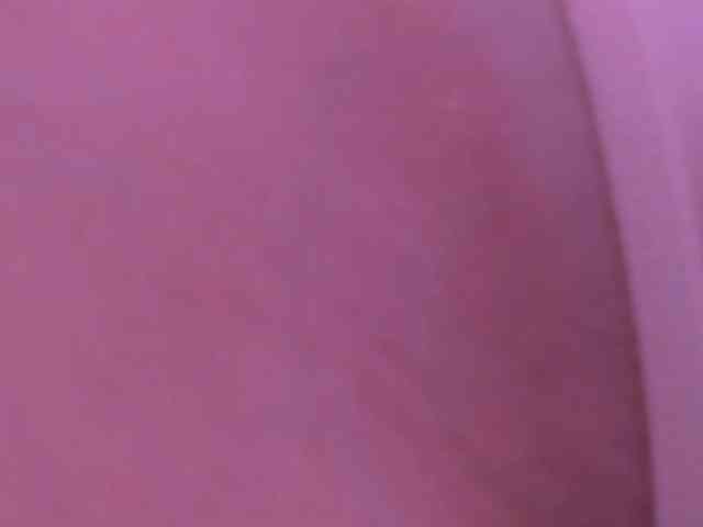 ellaamber webcam