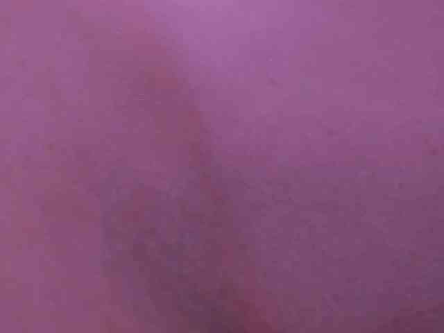 ellaamber webcam