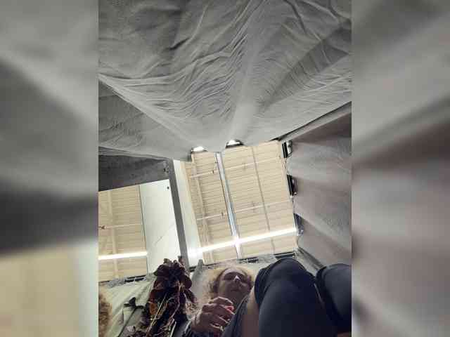 JJane- webcam