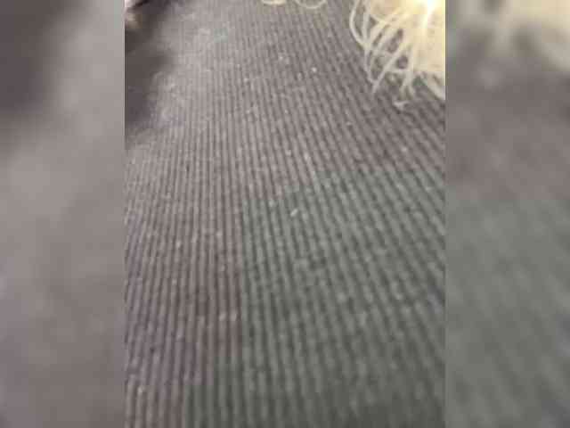 JJane- webcam