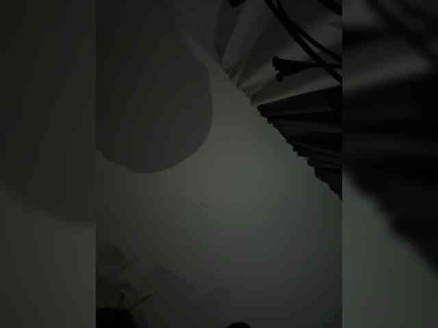 PolinaLike12
