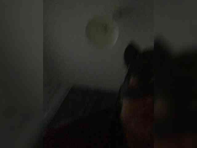 PolinaLike12 webcam