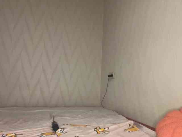 pikach00 webcam