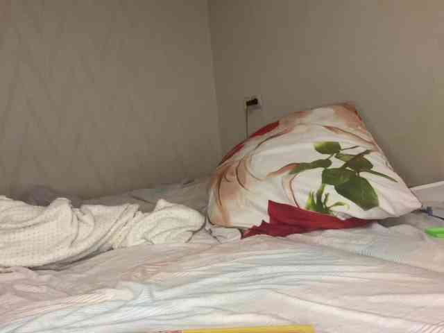 pikach00 webcam