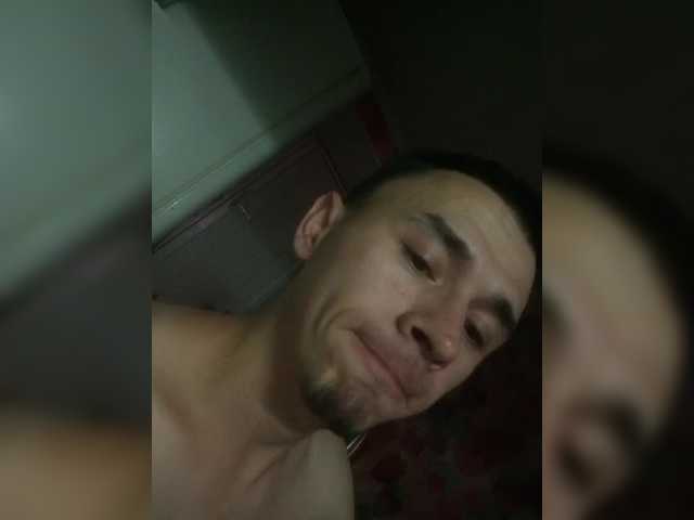 ALAN-SS