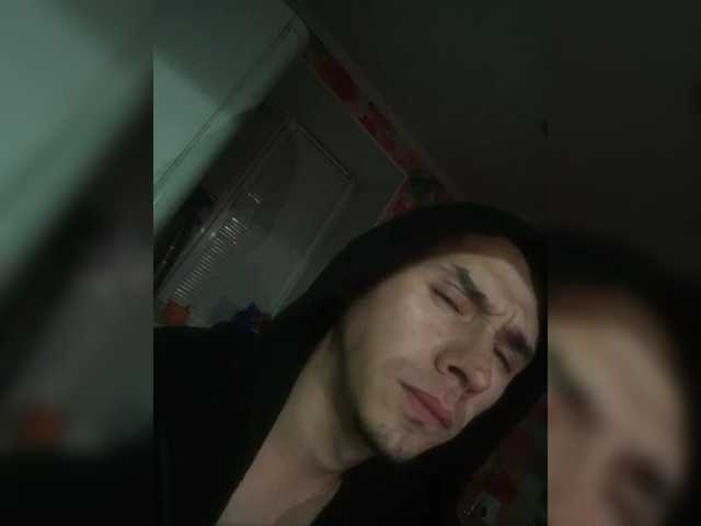ALAN-SS