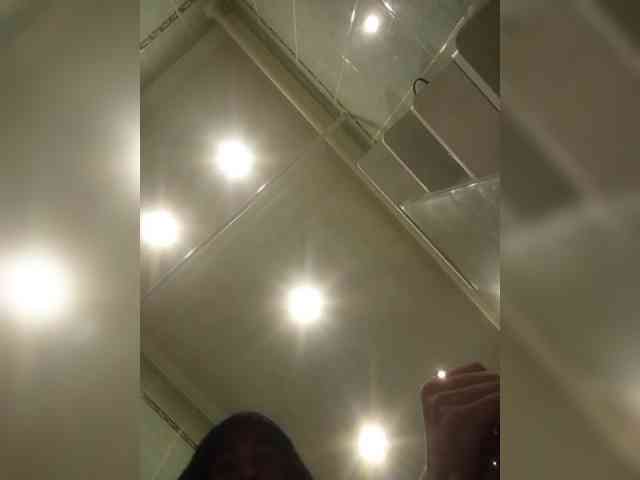 ALAN-SS