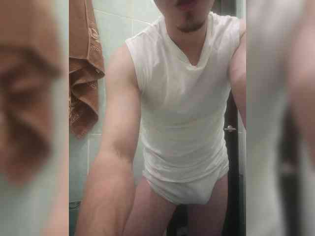 ALAN-SS
