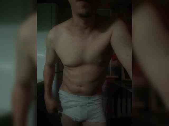 ALAN-SS