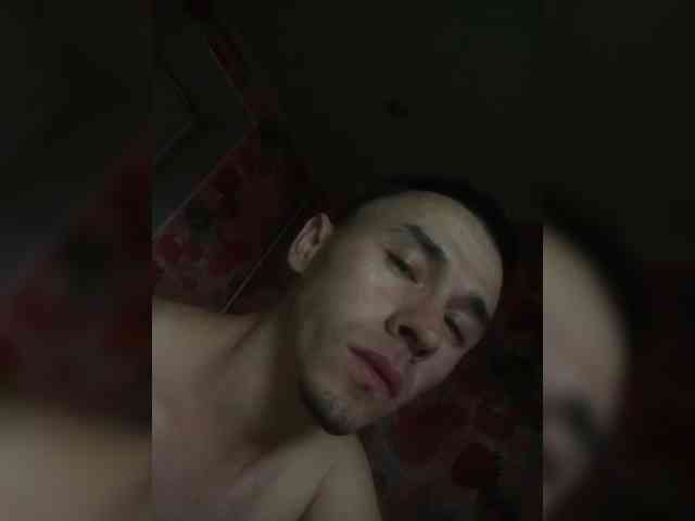ALAN-SS