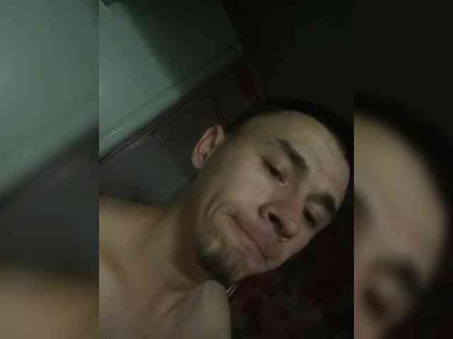 ALAN-SS
