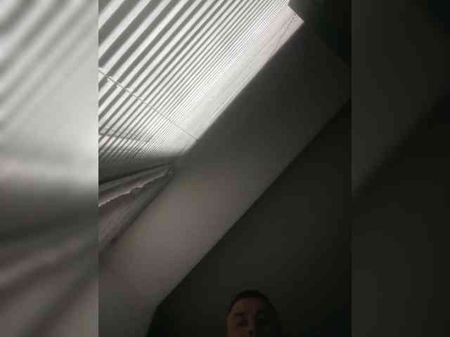 ALAN-SS