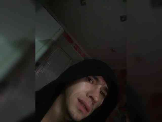 ALAN-SS
