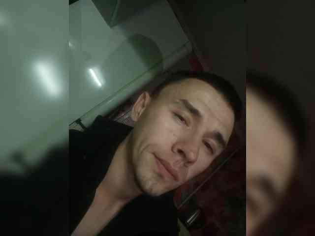 ALAN-SS