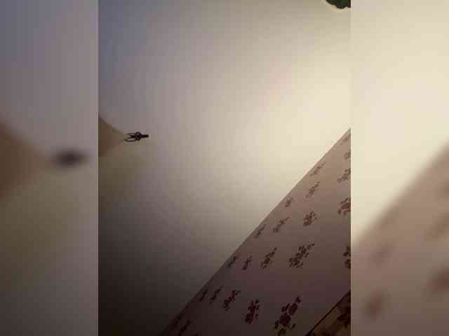 Rinaaamur webcam