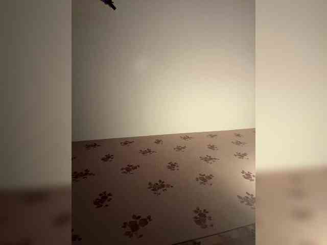 Rinaaamur webcam