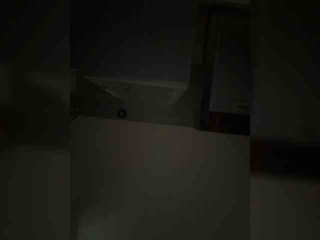 Rinaaamur webcam